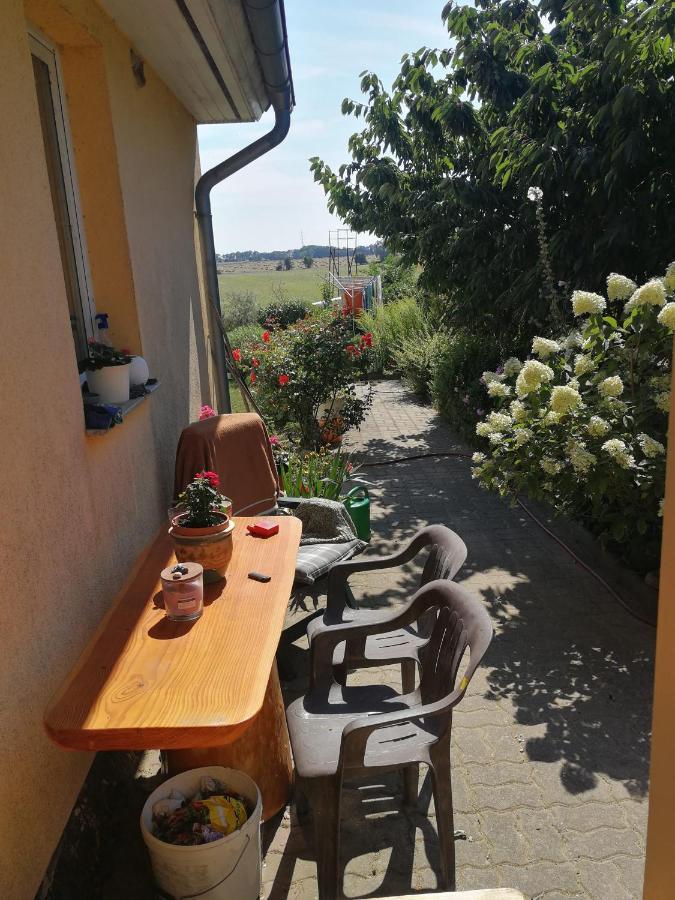 Usedom Town Jennys Hofladen 아파트 외부 사진