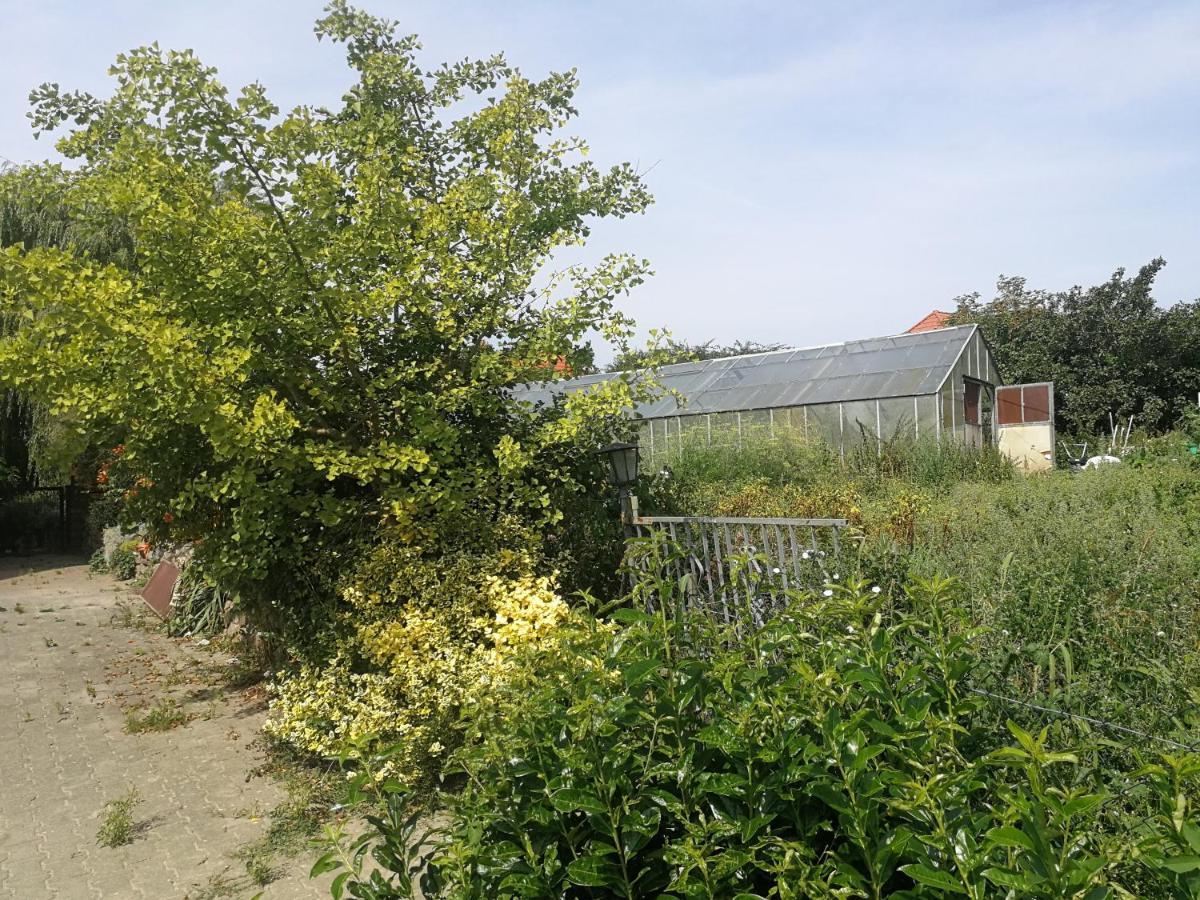 Usedom Town Jennys Hofladen 아파트 외부 사진
